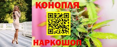 марихуана Кингисепп