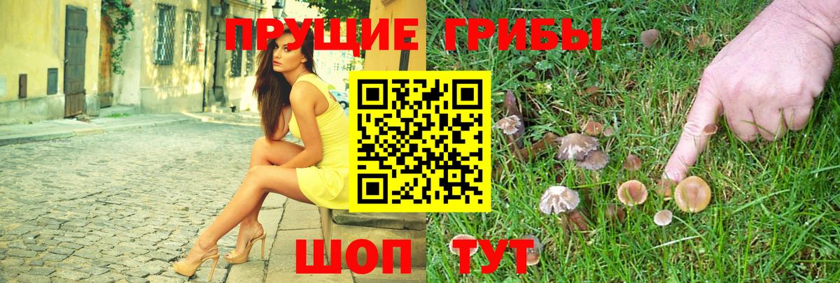 Псилоцибиновые грибы Cubensis Кизляр